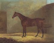 John Boultbee A Chestnut Hunter With A Groom By a Building oil painting artist